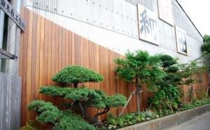 hosodaomote